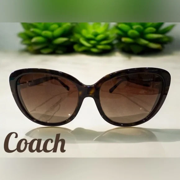 COACH HC8164 Dark Tortoise sunglasses from Japan (L953) with branded hard case